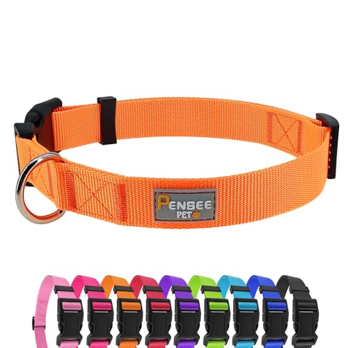 PENSEEPET Hundehalsband für kleine Hunde verstellbar groß mittel klein verschiedene Größen orange Welpenhalsband von penseepet