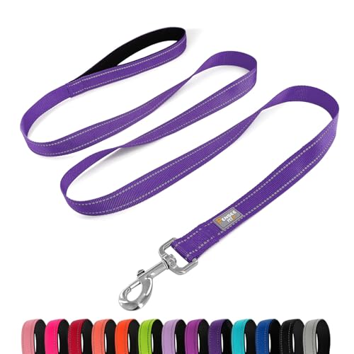 PenSeepet Hundeleine, 1,8 m, gepolsterter Griff, Nylon, reflektierend, für kleine Hunde, Welpen, Violett von penseepet