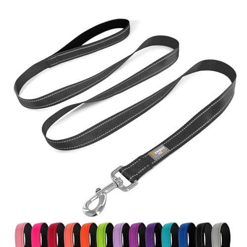 PenSeepet Hundeleine, 1,8 m, gepolsterter Griff, Nylon, reflektierend, für mittelgroße Hunde, Schwarz PenSeepet Hundeleine, 1,8 m, gepolsterter Griff, Nylon, reflektierend, für mittelgroße Hunde, Schwarz von penseepet