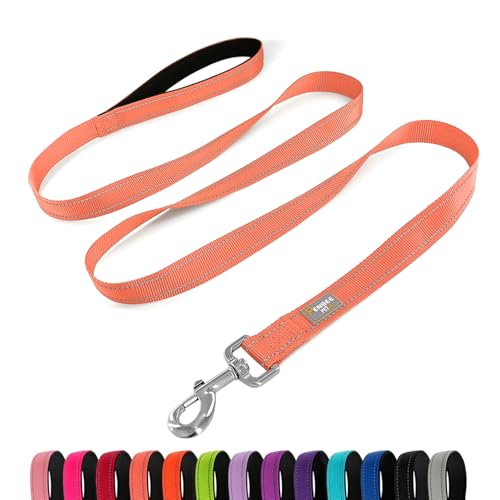 PenSeepet Reflektierende Hundeleine, 1,8 m, gepolsterter Griff, Nylon, für große Hunde, Korallenrot von penseepet