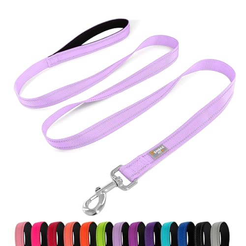 PenSeepet Reflektierende Hundeleine, 1,8 m, gepolsterter Griff, Nylon, für kleine Hunde, Lavendel von penseepet