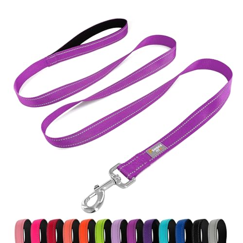 PenSeepet Reflektierende Hundeleine, 1,8 m, gepolsterter Griff, Nylon, für kleine Hunde, dunkles Magenta von penseepet