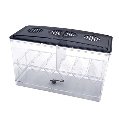 perfk Aquarium-Isolationsbox, Brutkasten, professionell, mit Trennwand, Brutkasten für Guppys, Babyfische, Betta von perfk