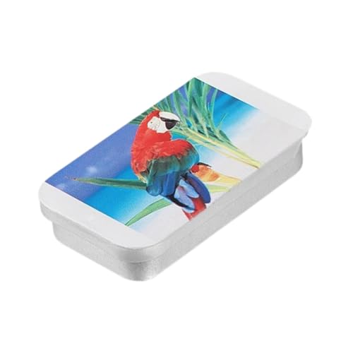 perfk Bird Feeder Box Slide Top -Spender leerer Lebensmittelglas Push Pull Treat Box Handheld Feeder für Vogeltraining Nagetiere Finch, Style B von perfk