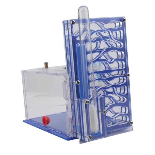 perfk Feuchtigkeit Ameisenhaus Nistkasten Kompakt DIY Transparent für Liebhaber Tischplatte Kindertag Zuhause, Blau perfk Feuchtigkeit Ameisenhaus Nistkasten Kompakt DIY Transparent für Liebhaber Tischplatte Kindertag Zuhause, Blau von perfk