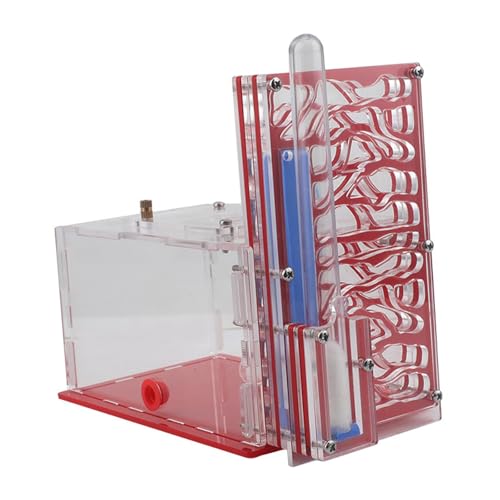 perfk Feuchtigkeit Ameisenhaus Nistkasten Kompakt DIY Transparent für Liebhaber Tischplatte Kindertag Zuhause, Rot perfk Feuchtigkeit Ameisenhaus Nistkasten Kompakt DIY Transparent für Liebhaber Tischplatte Kindertag Zuhause, Rot von perfk