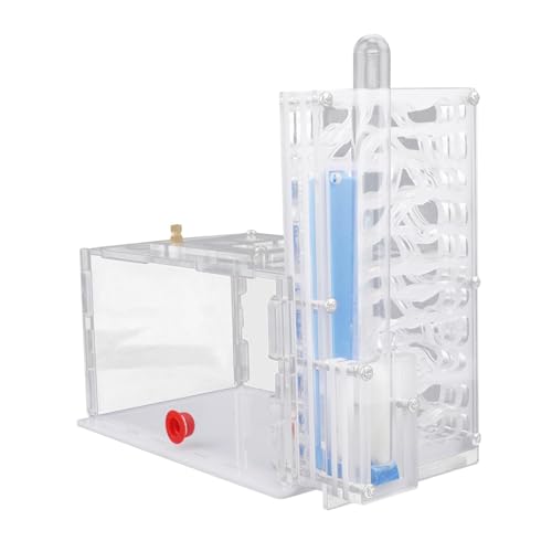 perfk Feuchtigkeit Ameisenhaus Nistkasten Kompakt DIY Transparent für Liebhaber Tischplatte Kindertag Zuhause, Weiß perfk Feuchtigkeit Ameisenhaus Nistkasten Kompakt DIY Transparent für Liebhaber Tischplatte Kindertag Zuhause, Weiß von perfk