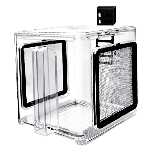 perfk Fischzuchtbox Acryl Fischbrut Isolationsbox Fry Breeder von perfk