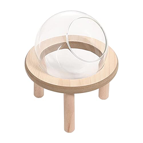 perfk Hamster-Sandbadbehälter Hamster-Sandbadbox, Toilette, Dusche, Badewanne, glasklares Kleintierbad für Chinchilla-, Eichhörnchen, 10CM perfk Hamster-Sandbadbehälter Hamster-Sandbadbox, Toilette, Dusche, Badewanne, glasklares Kleintierbad für Chinchilla-, Eichhörnchen, 10CM von perfk