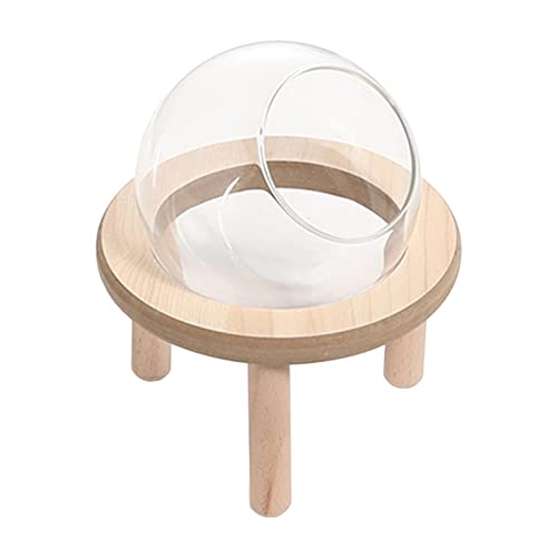 perfk Hamster-Sandbadbehälter Hamster-Sandbadbox, Toilette, Dusche, Badewanne, glasklares Kleintierbad für Chinchilla-, Eichhörnchen, 10CM von perfk