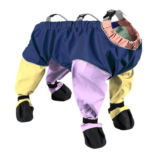 perfk Hunde-Regenmantel, Haustier-Regenkleidung, bequemer, atmungsaktiver Regenponcho, Hunde-Regenjacke für Spaziergänge, alle Jahreszeiten, draußen, Multicolor M perfk Hunde-Regenmantel, Haustier-Regenkleidung, bequemer, atmungsaktiver Regenponcho, Hunde-Regenjacke für Spaziergänge, alle Jahreszeiten, draußen, Multicolor M von perfk