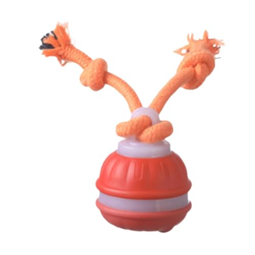 perfk Interaktiver Katzenspielzeugball Smart Jumping Ball Dogs Spielzeug intelligent tragbarer Funny Tail Rolling Interacting Pet Gadget für Kitty, Orange perfk Interaktiver Katzenspielzeugball Smart Jumping Ball Dogs Spielzeug intelligent tragbarer Funny Tail Rolling Interacting Pet Gadget für Kitty, Orange von perfk