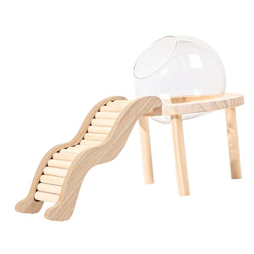 perfk Klares Glas Terrarium Behälter Holzbasis, transparentes Glas Sandbad, Hamster -Sandbad für Mäuse, S perfk Klares Glas Terrarium Behälter Holzbasis, transparentes Glas Sandbad, Hamster -Sandbad für Mäuse, S von perfk