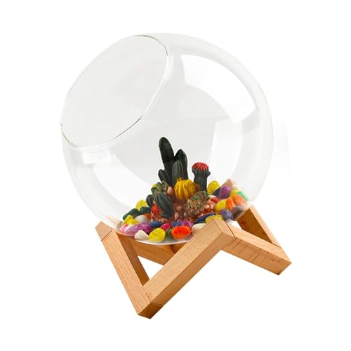 perfk Kleines Glasgefäß, Mini-Fischschalen-Sets, Vorratsglas, Terrarium, Glasgefäß, Aquarium für den Heimgebrauch, l von perfk