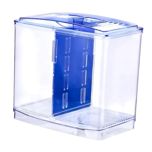 perfk Mini Betta Fischtank Fischkorb Aquarium Mehrnutzung Zuchtbox Fischschale mit Teiler für Schlafzimmer Wohnzimmer Desktop Dekor perfk Mini Betta Fischtank Fischkorb Aquarium Mehrnutzung Zuchtbox Fischschale mit Teiler für Schlafzimmer Wohnzimmer Desktop Dekor von perfk