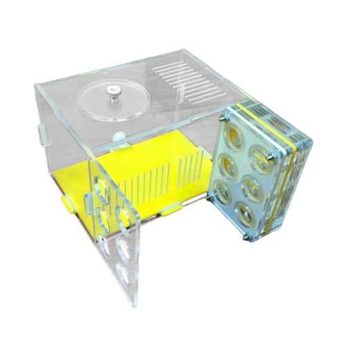 perfk Nest Farm DIY Habitat Lernen Acryl Farm Zucht Fall für Tischplatte Tag Schlafzimmer Hause, 1.8 cm von perfk