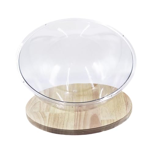 perfk Raumkapsel-Bett, Aktivitätszentrum, Bettspielzeug für kleine Haustiere, universelles, leicht zu reinigendes Schlafnest für Katzen und Kätzchen, 40CM perfk Raumkapsel-Bett, Aktivitätszentrum, Bettspielzeug für kleine Haustiere, universelles, leicht zu reinigendes Schlafnest für Katzen und Kätzchen, 40CM von perfk
