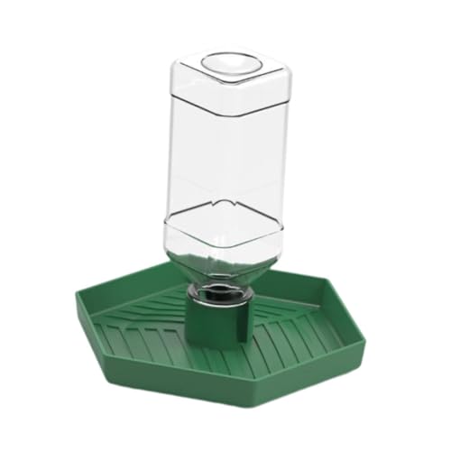 perfk Reptilien-Wasserschale, Wasserschale, Wasserspender, automatischer Wasserspender, Reptilien-Futterwasserbecken, Reptilien-Futterschale, GrÜn von perfk
