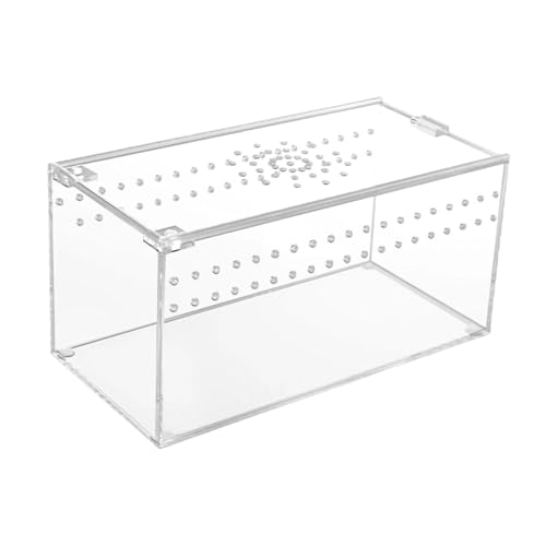 perfk Terrariumbehälter für Reptilien, Schildkröten-Terrarium, atmungsaktiv, stabiles Gehege, Reptilienzuchtbox für Krebse, Terrapin-Spinnen, 20.3 cm X 10.2 cm X perfk Terrariumbehälter für Reptilien, Schildkröten-Terrarium, atmungsaktiv, stabiles Gehege, Reptilienzuchtbox für Krebse, Terrapin-Spinnen, 20.3 cm X 10.2 cm X von perfk