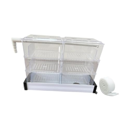 perfk Überlaufbox für Aquariumfiltration DREI Schicht Überlauf Rohrfilter -Fischtank -Zubehör, 6 Kisten perfk Überlaufbox für Aquariumfiltration DREI Schicht Überlauf Rohrfilter -Fischtank -Zubehör, 6 Kisten von perfk