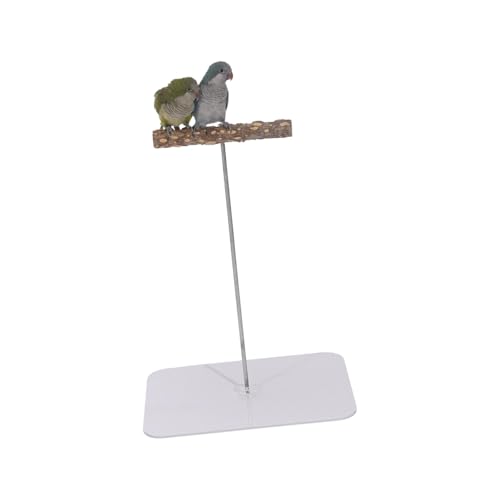 perfk Vogelsitzstangenständer, Papageienspielplatz, Schreibtisch, Vogelkäfig-Zubehör, Vogelspiel-Fitnessstudio, Laufstall, Vogelspielständer für, Quadrat, L perfk Vogelsitzstangenständer, Papageienspielplatz, Schreibtisch, Vogelkäfig-Zubehör, Vogelspiel-Fitnessstudio, Laufstall, Vogelspielständer für, Quadrat, L von perfk