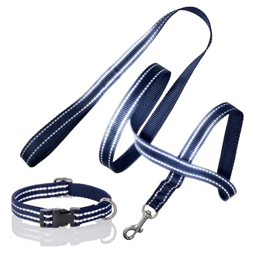 Pet Passion 2er-Pack Max – The Hardy Reflektierendes Hundehalsband & 1,8 m Leine für alle Haustierrassen, Marineblau, Größe L Pet Passion 2er-Pack Max – The Hardy Reflektierendes Hundehalsband & 1,8 m Leine für alle Haustierrassen, Marineblau, Größe L von pet passion