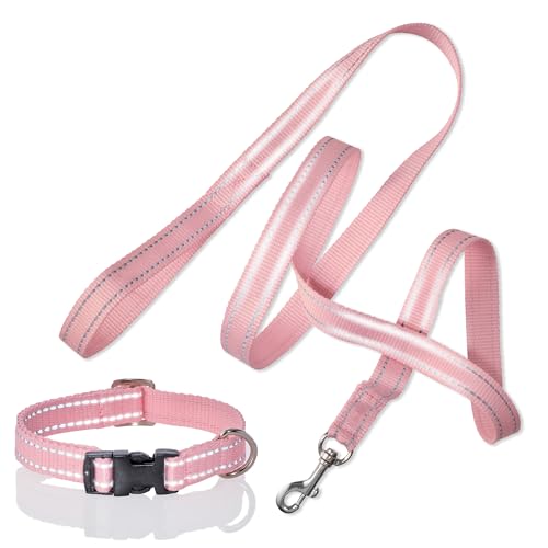 Pet Passion 2er-Pack Max – The Hardy Reflektierendes Hundehalsband & 1,8 m Leine für alle Haustierrassen, Rosa, Größe XS Pet Passion 2er-Pack Max – The Hardy Reflektierendes Hundehalsband & 1,8 m Leine für alle Haustierrassen, Rosa, Größe XS von pet passion