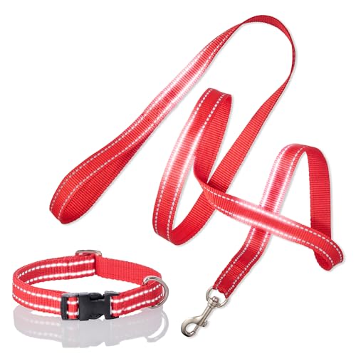 Pet Passion 2er-Pack Max – The Hardy Reflektierendes Hundehalsband & 1,8 m Leine für alle Haustierrassen, Rot, Größe S Pet Passion 2er-Pack Max – The Hardy Reflektierendes Hundehalsband & 1,8 m Leine für alle Haustierrassen, Rot, Größe S von pet passion