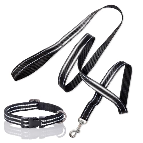 Pet Passion 2er-Pack Max – The Hardy Reflektierendes Hundehalsband & 1,8 m Leine für alle Haustierrassen, Schwarz, Größe L Pet Passion 2er-Pack Max – The Hardy Reflektierendes Hundehalsband & 1,8 m Leine für alle Haustierrassen, Schwarz, Größe L von pet passion