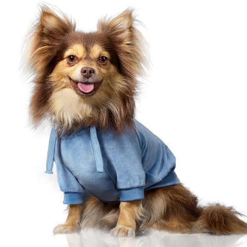 Pet Passion Hunde-Kapuzenpullover aus Bio-Baumwolle für kleine, mittelgroße und große Hunde, verblasster Denim, Größe XXS Pet Passion Hunde-Kapuzenpullover aus Bio-Baumwolle für kleine, mittelgroße und große Hunde, verblasster Denim, Größe XXS von pet passion