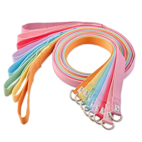 Pet Passion Hundeleine, zum Reinschlüpfen, Regenbogenfarben, 2,1 m, für alle Hunderassen, Regenbogenrosa, Einheitsgröße, 8 Stück Pet Passion Hundeleine, zum Reinschlüpfen, Regenbogenfarben, 2,1 m, für alle Hunderassen, Regenbogenrosa, Einheitsgröße, 8 Stück von pet passion