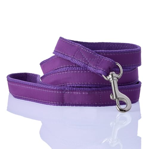 Pet Passion Hundeleine aus recyceltem Band, 2,1 m, für alle Hunderassen, Lila, Einheitsgröße Pet Passion Hundeleine aus recyceltem Band, 2,1 m, für alle Hunderassen, Lila, Einheitsgröße von pet passion