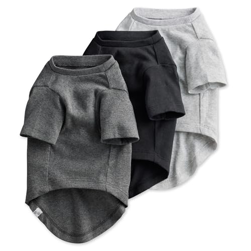 Pet Passion Kurzärmeliges Hunde-T-Shirt aus 100% Bio-Baumwolle, für alle Rassen, Grau-Ombré, Größe XS von pet passion