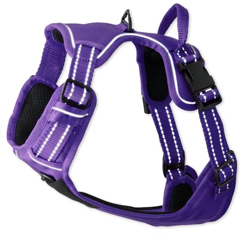 Pet Passion Max The Hardy Reflektierendes Geschirr, Lila, Größe S Pet Passion Max The Hardy Reflektierendes Geschirr, Lila, Größe S von pet passion