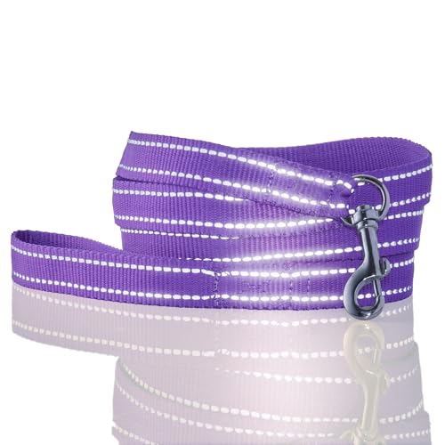 Pet Passion Reflektierende, langlebige Hundeleine, 2,1 m, für alle Haustierrassen, Lila, Einheitsgröße Pet Passion Reflektierende, langlebige Hundeleine, 2,1 m, für alle Haustierrassen, Lila, Einheitsgröße von pet passion