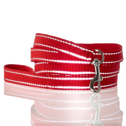 Pet Passion Reflektierende, langlebige Hundeleine, 2,1 m, für alle Hunderassen, Rot, Einheitsgröße Pet Passion Reflektierende, langlebige Hundeleine, 2,1 m, für alle Hunderassen, Rot, Einheitsgröße von pet passion