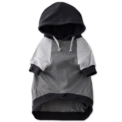 Pet Passion Rocky Hundemantel mit Kapuze für kleine, mittelgroße und große Hunde, 100% Bio-Baumwolle, Schwarz, Größe XS Pet Passion Rocky Hundemantel mit Kapuze für kleine, mittelgroße und große Hunde, 100% Bio-Baumwolle, Schwarz, Größe XS von pet passion