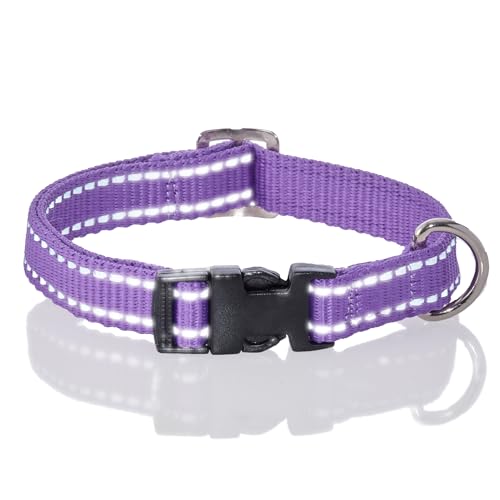 Pet Passion Verstellbares, reflektierendes Hundehalsband für kleine, mittelgroße und große Hunde, Lila, Größe L Pet Passion Verstellbares, reflektierendes Hundehalsband für kleine, mittelgroße und große Hunde, Lila, Größe L von pet passion