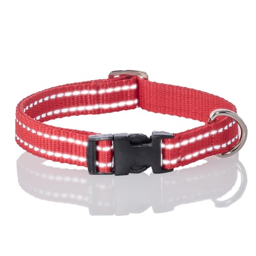 Pet Passion Verstellbares, reflektierendes Hundehalsband für kleine, mittelgroße und große Hunde, Rot, Größe XL Pet Passion Verstellbares, reflektierendes Hundehalsband für kleine, mittelgroße und große Hunde, Rot, Größe XL von pet passion