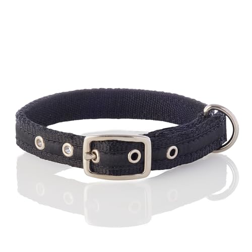 Pet Passion Verstellbares Hundehalsband aus recyceltem Band für alle Haustierrassen, Schwarz, Größe L Pet Passion Verstellbares Hundehalsband aus recyceltem Band für alle Haustierrassen, Schwarz, Größe L von pet passion