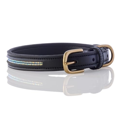 Pet Passion Verstellbares Hundehalsband aus veganem Leder mit Bling für Haustiere kleine, mittelgroße und große Hunde, Black Bling, Large Pet Passion Verstellbares Hundehalsband aus veganem Leder mit Bling für Haustiere kleine, mittelgroße und große Hunde, Black Bling, Large von pet passion