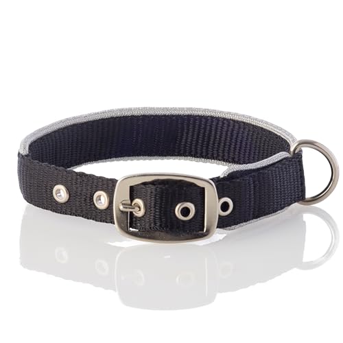 Pet Passion Verstellbares Hundehalsband mit silberfarbenem Rand, für kleine, mittelgroße und große Hunde, Silberschwarz, Größe XXL Pet Passion Verstellbares Hundehalsband mit silberfarbenem Rand, für kleine, mittelgroße und große Hunde, Silberschwarz, Größe XXL von pet passion