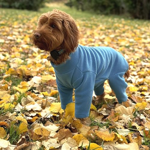Warmes Hunde-Fleece, vierbeinig, erhältlich in fünf Größen und drei Farben (Blaugrün, Größe M (Vierbeiner)) von pet wiz