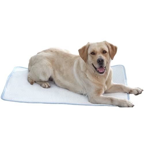 petfelix Kühlmatte für Hunde, Katzenkühlmatte, supramolekulares Kühlmaterial, ultra-atmungsaktiv, maschinenwaschbar, Kühlkissen für Hunde, Kühlkissen, Haustier-Kühlmatten für Hunde, 43 x 28 cm, extra petfelix Kühlmatte für Hunde, Katzenkühlmatte, supramolekulares Kühlmaterial, ultra-atmungsaktiv, maschinenwaschbar, Kühlkissen für Hunde, Kühlkissen, Haustier-Kühlmatten für Hunde, 43 x 28 cm, extra von petfelix