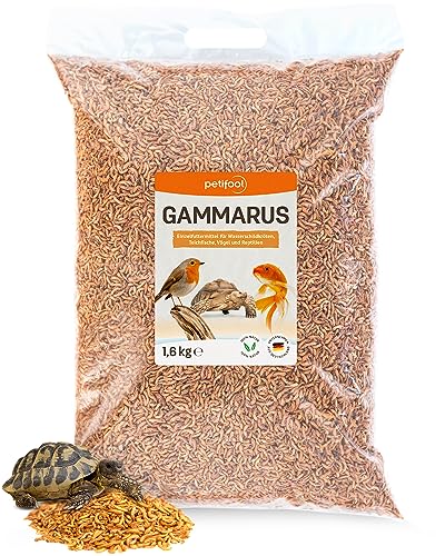 petifool Gammarus 1600g – getrocknete Bachflohkrebse - gesunder Snack für Schildkröten, Fische, Vögel, Reptilien und Nager – natürliches Futtermittel von petifool