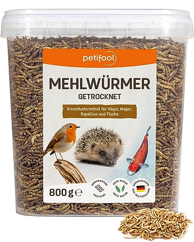 petifool Mehlwürmer 800g – getrocknete Mehlwürmer - gesunder Insektensnack für Schildkröten, Fische, Vögel, Reptilien und Nager von petifool