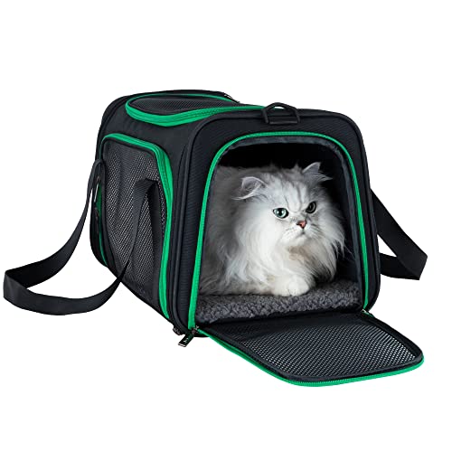 petisfam Transportbox für mittelgroße Katzen und kleine Hunde, leicht zu bekommen, ausbruchsicher petisfam Transportbox für mittelgroße Katzen und kleine Hunde, leicht zu bekommen, ausbruchsicher von petisfam