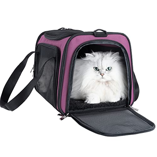 petisfam Transportbox für mittelgroße Katzen und kleine Hunde von petisfam