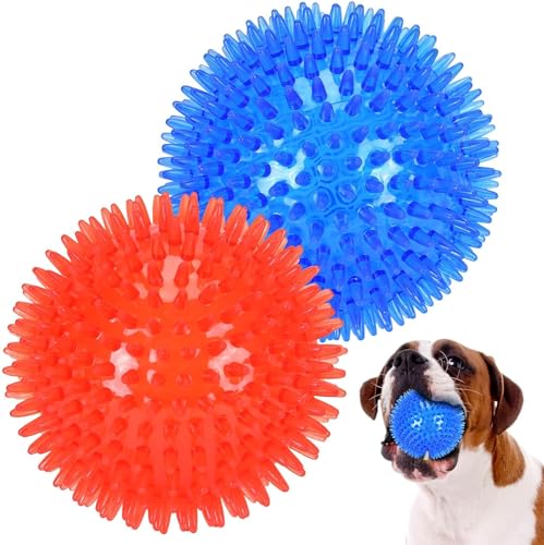 Petizer Quietschball mit Stacheln, 11 cm, schwimmfähiges Poolspielzeug, Wurfspielzeug für Welpen, Gummi-TPR, Langeweile und Zahnreinigung für kleine und mittelgroße Hunde, 2 Stück von petizer