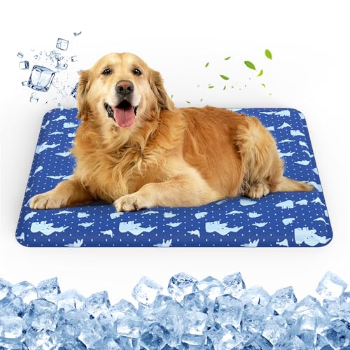 petnf Kühlmatte für Hunde & Katzen – Selbstkühlende Gel-Matte mit Kratzfester Oberfläche, Wasserdicht – Ideal für Zuhause, Auto, Garten – 60x90cm petnf Kühlmatte für Hunde & Katzen – Selbstkühlende Gel-Matte mit Kratzfester Oberfläche, Wasserdicht – Ideal für Zuhause, Auto, Garten – 60x90cm von petnf